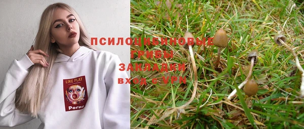 амф Шали