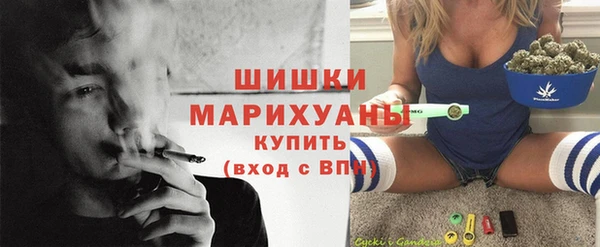 мдпв Вязьма