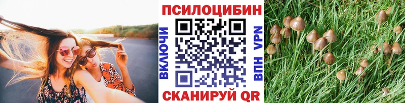 Галлюциногенные грибы мухоморы  Купить  Карабаш 